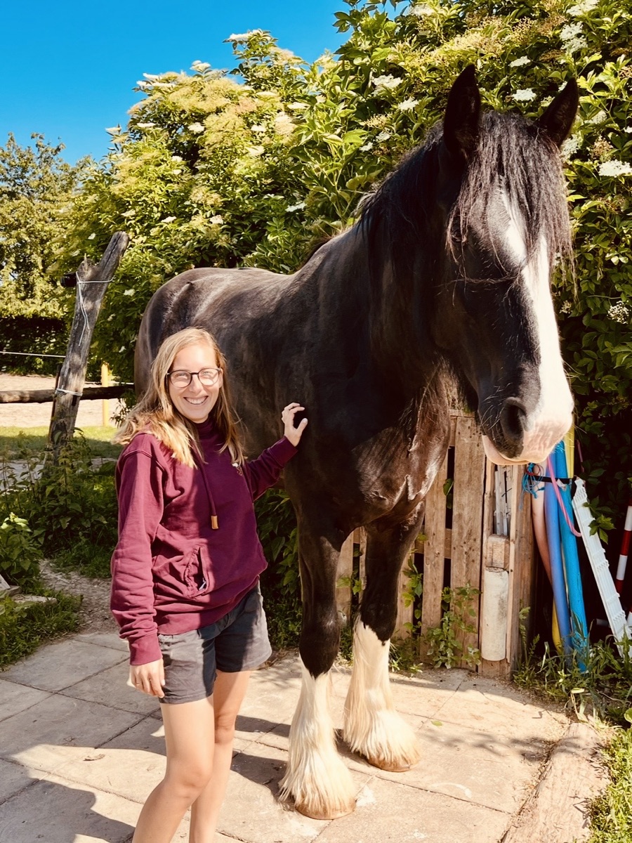 Tina Heidinger mit Shire-Stute Saphira