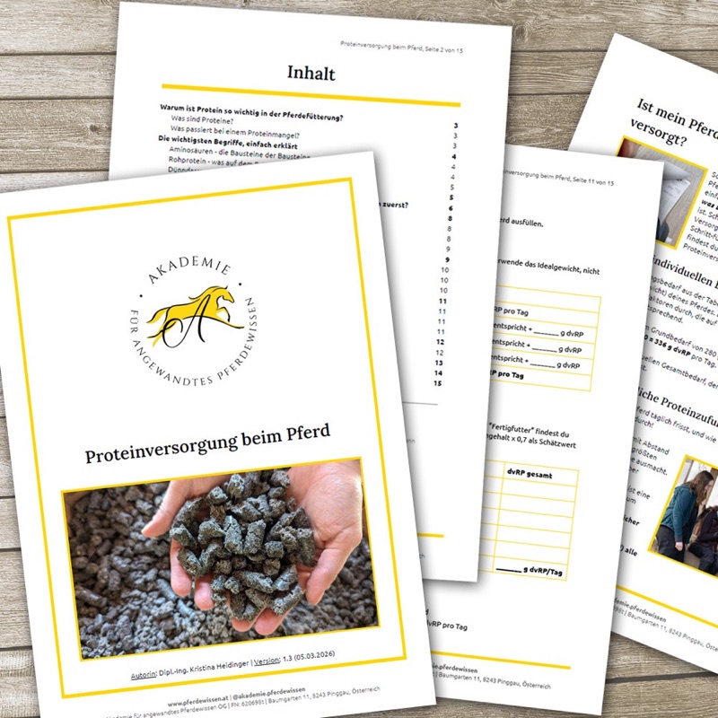 E-Book Proteinversorgung beim Pferd