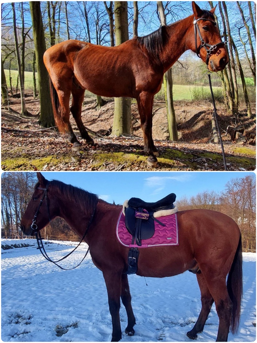 PRE vor und nach der Beratung