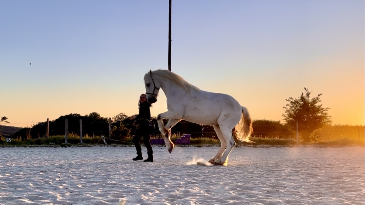 Trainingstagebuch Februar 2023