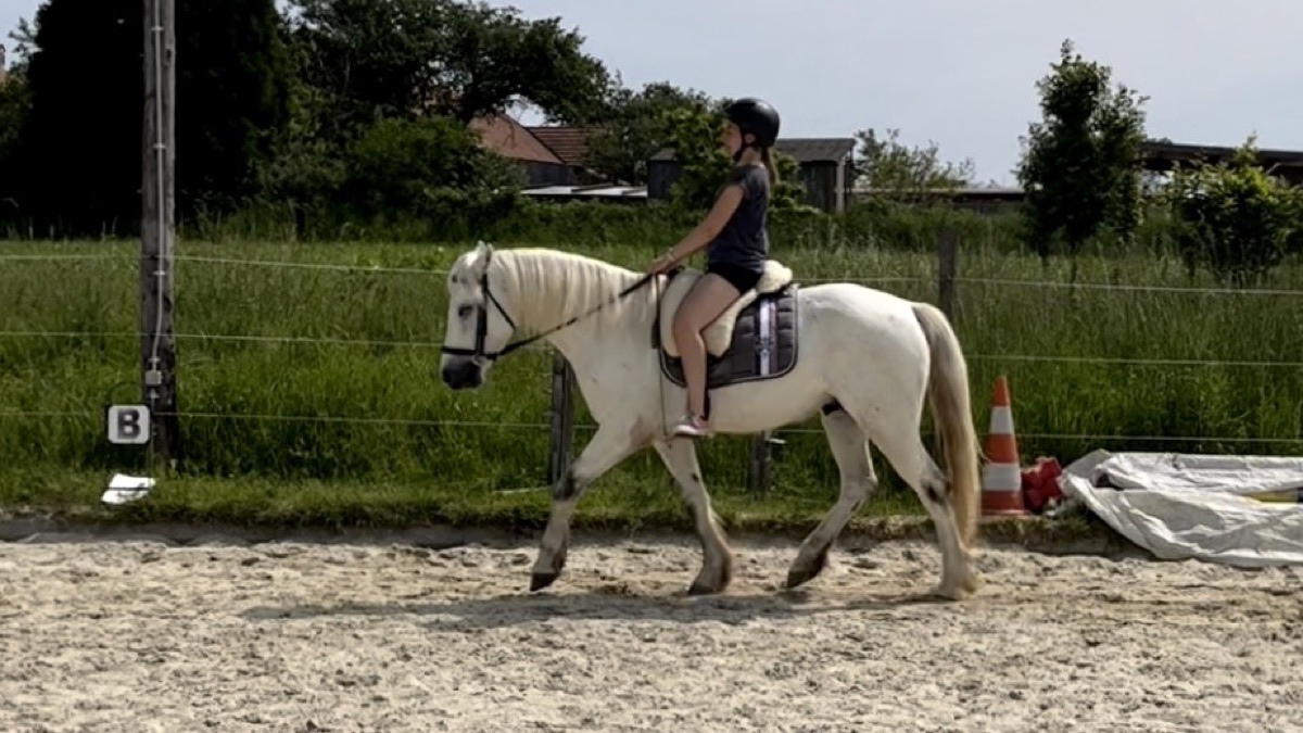 Trainingstagebuch Mai 2023