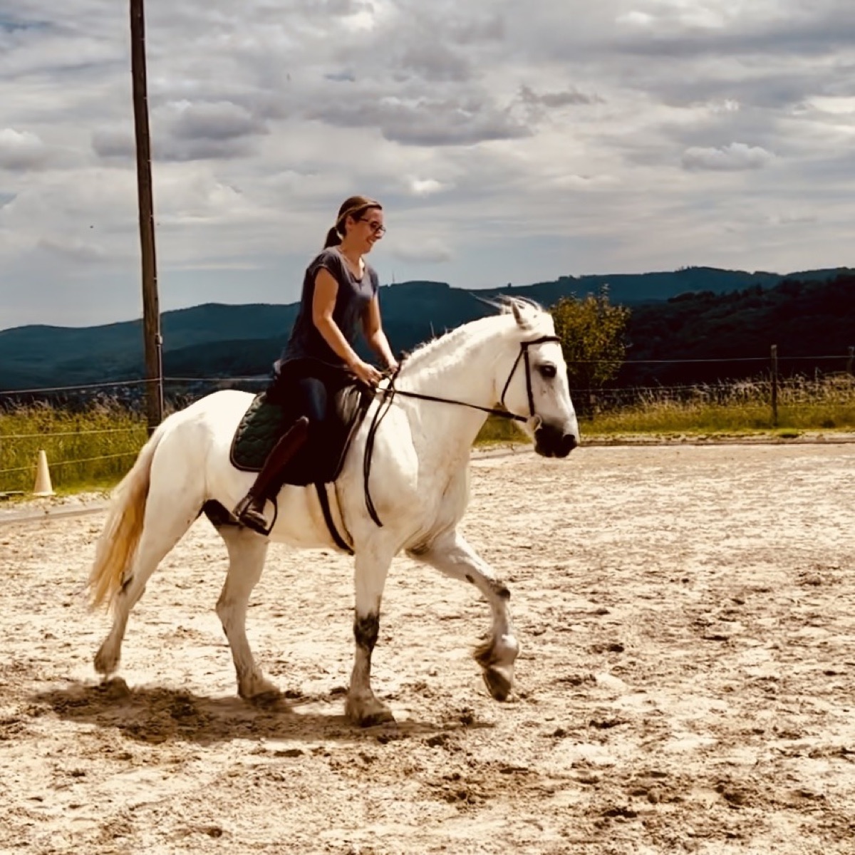 Trainingstagebuch Juni 2024