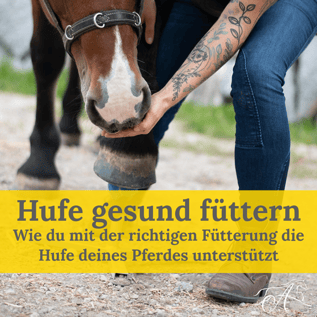 Hufe Gesund Füttern Kurs