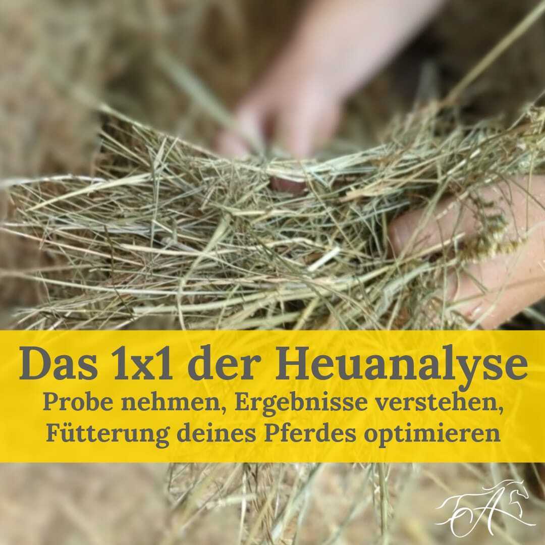Heuanalyse Kurs Titelbild